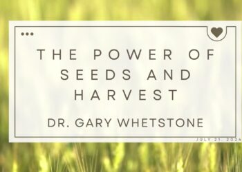 Sunday Notes: July 21st, 2024 – The Power of Seeds and Harvest