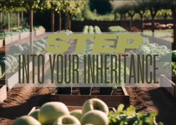 Sunday Notes: January 12th, 2025: STEP INTO YOUR INHERITANCE