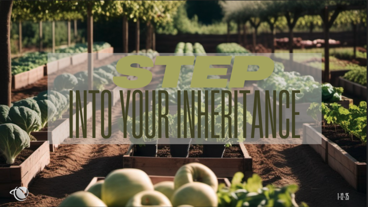 Sunday Notes: January 12th, 2025: STEP INTO YOUR INHERITANCE
