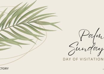 Sunday Notes: April  13th, 2025: Palm Sunday, Day of Visitation